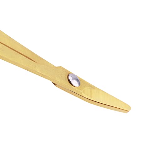 Titanium RC Body Reamer Tool RC Body Scissors Set Straight and Curved RC Scissors Trimming for RC Car Bodyshell Accessories