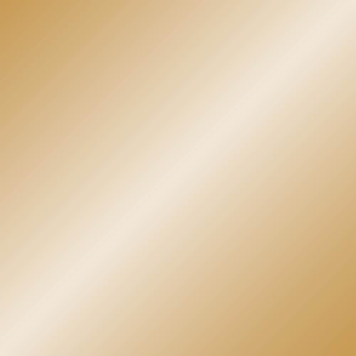 Vallejo - Premium Color RC Gold 6.76 Fl.Oz. (200 ml) for Airbrushing, Acrylic-Polyurethane Hybrid Resin of Great Resistance Paint for Model and Hobby Use - style: Silver
