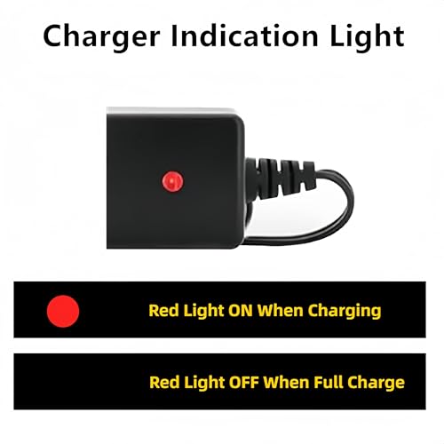 RC Battery Charger for 9.6V (8S) NiMH/NiCd Battery Packs, 250mA AC Plug Charger with Standard Tamiya Connector for RC Hobbies Airsoft Guns RC Cars RC Airplanes