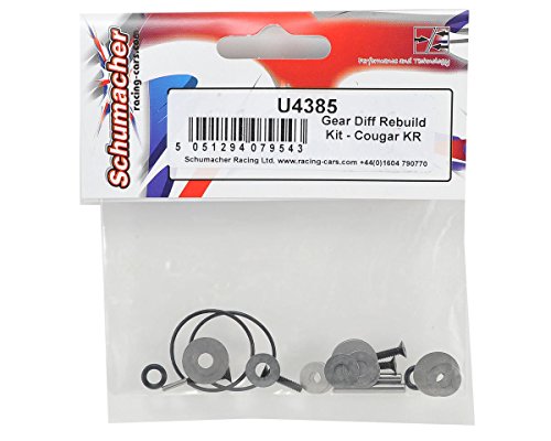 Gear Differential Rebuild Kit