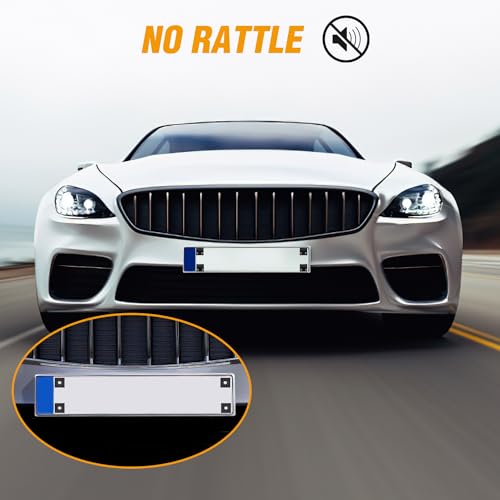 GOOACC 8 Sets Anti-Theft Stainless Steel License Plate Screw Kit | with Anti-Rust Stainless Steel Mounting Hardware & Nylon Fastener Nuts for Securing License Plate Frames on Cars Trucks SUVs - color: 8 Sets License Plate Screw