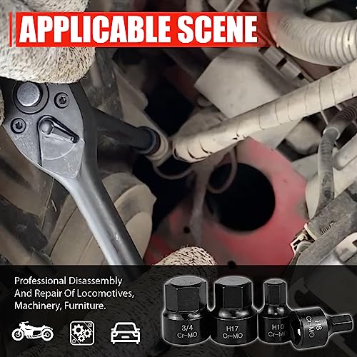 C&T 16 Piece 3/8-Inch Drive Low Profile Impact Hex Driver Set,SAE/Metric,1/4 Inch - 3/4 Inch, 6mm - 19mm, Cr-Mo Steel, Hex Bit Socket Set, Heavy Duty Storage Case
