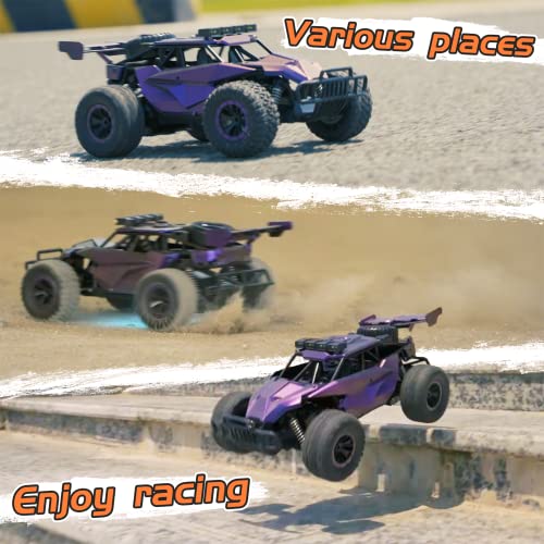 1:16 Scale Purple Remote Control Car, 20 Km/h High Speed Girls Remote Control Car Monster Vehicle with LED Headlights and Chassis Lights, RC Truck for Girls Boys and Adults - color: Amethyst Viper