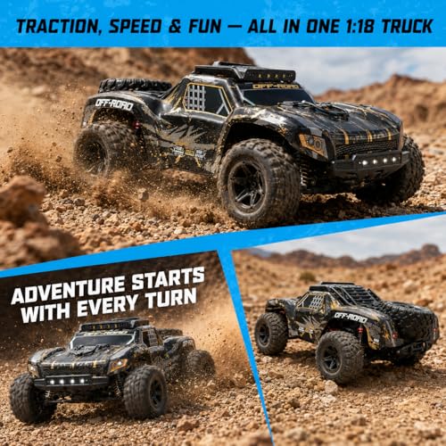 RC Car for Adults,RC Truck,4WD Off Road Monster Truck RC, 1:18 RC car,2 Batteries, LED Lights, All Terrain Waterproof RC Truck for Beginners&Boys.