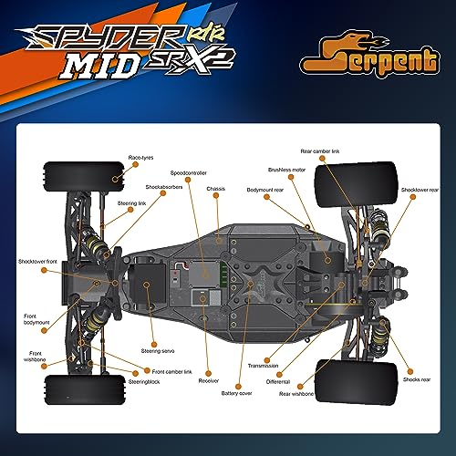 Serpent 1:10 Brushless RC Cars for Adults, 2WD Buggy, High Speed, Long Life | High-Performance, Off-Road, RTR Oil Filled Shocks Remote Control Racing Car, Battery and Charger Excluded (SRX-2 MM)