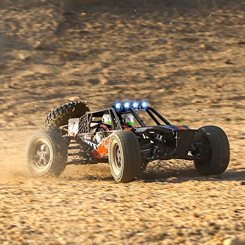 HAIBOXING 905 Protector 1:12 Scale RC Cars, Off-Road RC Buggy Hobby Grade | Aluminum Oil-Filled Shocks, Fast Remote Control Car 38 km/h, 2.4GHz Waterproof ESC, Perfect for Kids& Adults, Dual Batteries