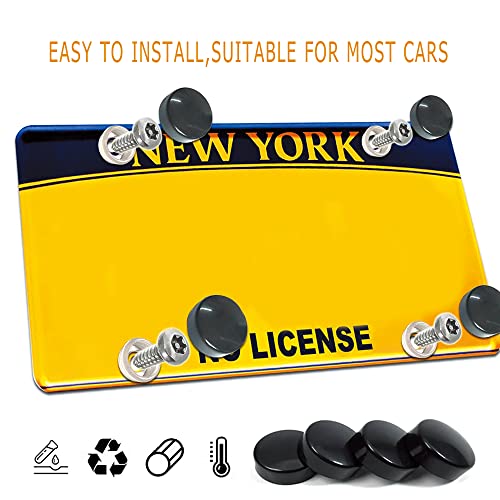 Anti Theft License Plate Screws, Anti Theft License Plate Frame Bolts Tamper Resistant Fasteners, Stainless Steel License Plate Screws, 1/4"(M6) Security Screw Set for Car License Plates - color: style 1