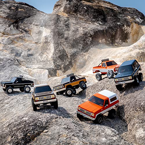 BEEZRC FMS 1/24 FCX24S Chevy K5 Blazer S RC Crawler, Officially Licensed RC Rock Crawler, RC Pickup Truck SUV 4WD 2.4GHz Hobby RC Model, 8km/h Mini Car,Off-Road Remote Control Car for Adults(Brown) - color: Brown