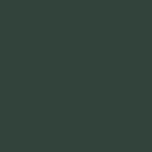 Vallejo - Premium Color RC Dark Green 2.02 Fl.Oz. (60 ml) for Airbrushing, Acrylic-Polyurethane Hybrid Resin of Great Resistance Paint for Model and Hobby Use - style: Dark Green