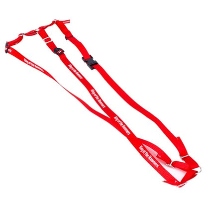 Y Strap for Spare Tire,1/10 Scale RC 3-Point Adjustable Spare Tire Tie Down Strap fit for Traxxas UDR TRX-4 Axial 90048 RR10 1.9" 2.2" Tire Roof Rack Accessories 3 Way Ratchet Strap Tie Down (Red) - color: Red