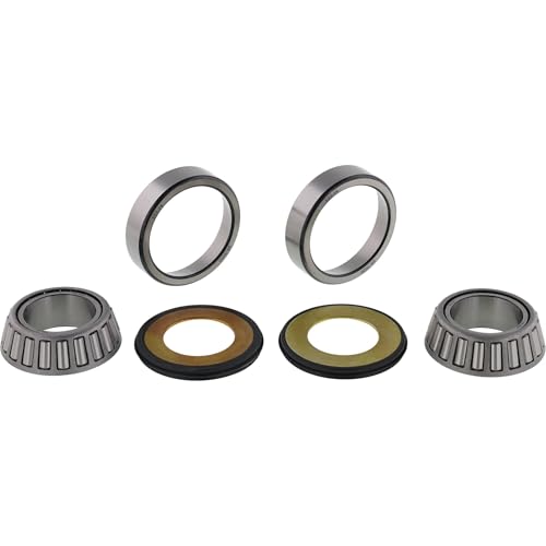 All Balls Racing 22-1021 Steering Bearing Kit, Silver | OEM replacement, fits Montesa 315R 4RT XR200R CR80R XR600R CRF150F, 125 450 480 engines, for atv, 22-1021
