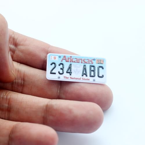 Custom US 50 States RC Car License Plate Compatible with Scale Model Car 1/8 1/10 1/12 1/14 1/16 1/18 1/24 2Pieces