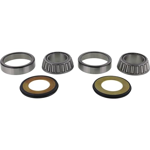 All Balls Racing 22-1021 Steering Bearing Kit, Silver | OEM replacement, fits Montesa 315R 4RT XR200R CR80R XR600R CRF150F, 125 450 480 engines, for atv, 22-1021