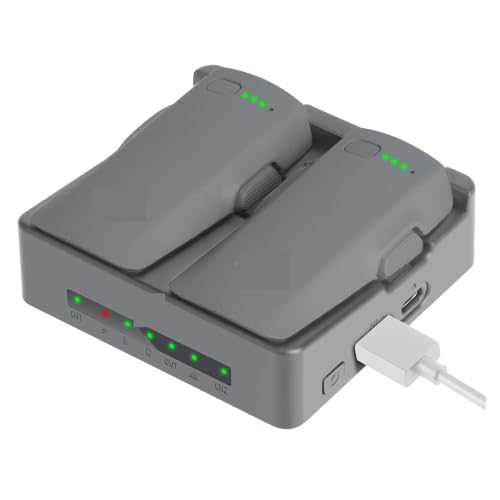 Quick Charger, Compatible with DJI, NEO 2 Battery | Dual-channel charger, fast charging, USB-C to USB-C cable, indicator light