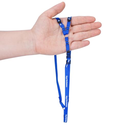 Y Strap for Spare Tire,1/10 Scale RC 3-Point Adjustable Spare Tire Tie Down Strap fit for Traxxas UDR TRX-4 Axial 90048 RR10 1.9" 2.2" Tire Roof Rack Accessories 3 Way Ratchet Strap Tie Down (Blue) - color: Blue
