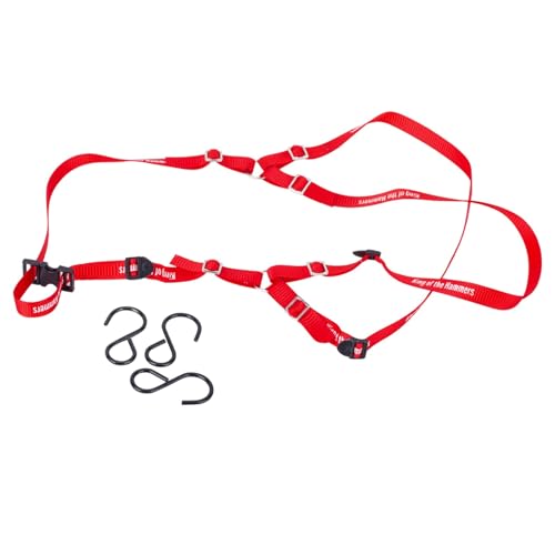 Y Strap for Spare Tire,1/10 Scale RC 3-Point Adjustable Spare Tire Tie Down Strap fit for Traxxas UDR TRX-4 Axial 90048 RR10 1.9" 2.2" Tire Roof Rack Accessories 3 Way Ratchet Strap Tie Down (Red) - color: Red