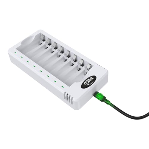 Blinkspower 8 Bay AA AAA Battery Charger, Smart Fast Charging with Independent Charging Slots for NiMH Rechargeable Batteries, USB Type-C, No Adapter