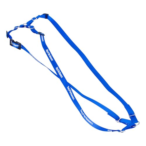 Y Strap for Spare Tire,1/10 Scale RC 3-Point Adjustable Spare Tire Tie Down Strap fit for Traxxas UDR TRX-4 Axial 90048 RR10 1.9" 2.2" Tire Roof Rack Accessories 3 Way Ratchet Strap Tie Down (Blue) - color: Blue