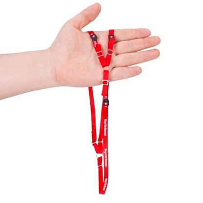 Y Strap for Spare Tire,1/10 Scale RC 3-Point Adjustable Spare Tire Tie Down Strap fit for Traxxas UDR TRX-4 Axial 90048 RR10 1.9" 2.2" Tire Roof Rack Accessories 3 Way Ratchet Strap Tie Down (Red) - color: Red