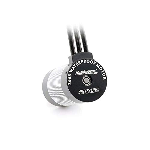 3665 4-Pole Waterproof Brushless Sensorless Motor for RC Car, Truck 3100KV, 2Y