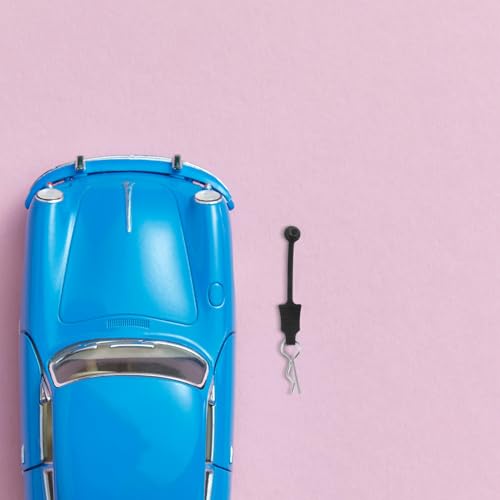 GLEAVI 20pcs Rc Car Body Clips and Retainer Pins with Pull Tabs Metal R-Type Fasteners Universal Replacement Parts for Rc Crawlers and Trucks Shell Removal