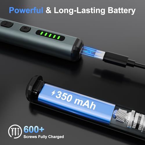 STREBITO Electric Screwdriver, 67 in 1 Mini Electric Screwdriver | 50 S2 Magnetic Bits, 5 Torque Settings, 4 LED Lights, Precision Screwdriver Set for Laptop, Computer & Electronics Repair - color: Standard Black