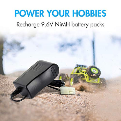 Tenergy RC Battery Charger for 9.6V (8S) NiMH/NiCd Battery Packs, 400mA AC Plug Charger w/Standard Tamiya Connector for RC Hobbies, Not Compatible with Spike the Dinosaur