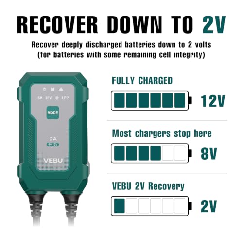 Smart 2A 6V/12V Battery Charger Maintainer - Auto Desulfator & Winter Mode for Deeply Discharged Lead-Acid & LiFePO4 Batteries - Perfect for Motorcycle, Car, Boat, RV, ATV - size: 2A