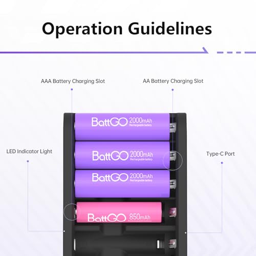 ISDT Battery Charger AA AAA Rechargeable Batteries 8-Bay Portable Smart Charger Fast Charging USB Input Port for 1.2V NiMH NiCd 1.5V Li-lon LiFePO4 Batteries with Bluetooth APP Connection (Black) - size: 8 Slot