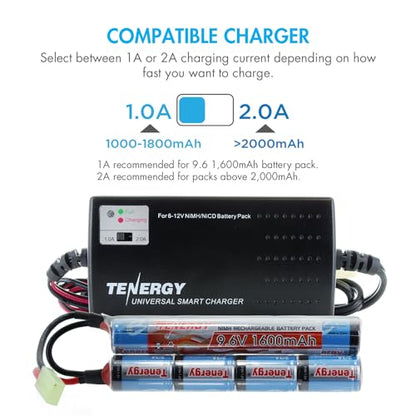 Tenergy Charger and 9.6V NiMH 1600mAh Rechargeable Butterfly Battery Pack with Mini Tamiya Connector for AEG - size: Battery Pack + Charger