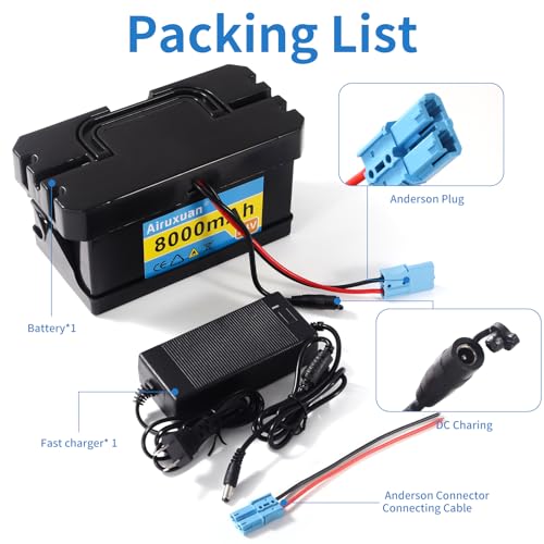 24V 8Ah Lithium Battery for Kids Ride-On Cars & Power Wheels, 25A BMS, 2A Charger,Compatible with Dynacraft Realtree 24V UTVs