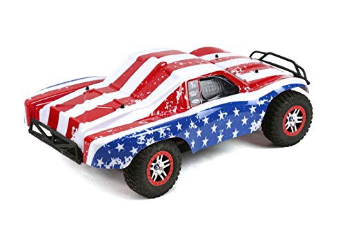 SummitLink Compatible Custom Body Flag Strip Style Replacement for 1/10 Scale RC Car or Truck (Truck not Included) SS-FP-02