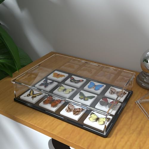 Acrylic Display Case for Books and Medals, Versatile Clear Acrylic Display Box with Black Base for Badges, Coins and Cards, 10.6x8x2.4-inch - size: 10.6"L x 8"W x 2.4"H