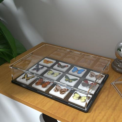 Acrylic Display Case for Books and Medals, Versatile Clear Acrylic Display Box with Black Base for Badges, Coins and Cards, 10.6x8x2.4-inch - size: 10.6"L x 8"W x 2.4"H