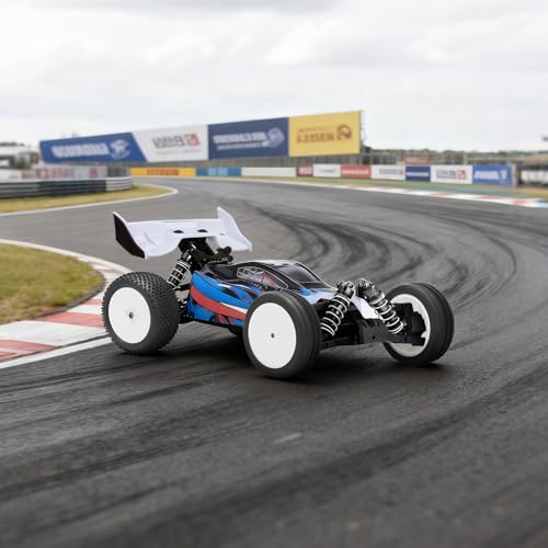 1/10 RC Car Tires and Wheels, daitoku 12mm Hex 1/10 RC Off Road Racing Tires and Wheels Rims for 1/10 Serpent Spyder SRX2 SRX4 XRAY XB2 Tekno EB410 yokomo yz4 Tamiya TD4 TT-02B DF-02