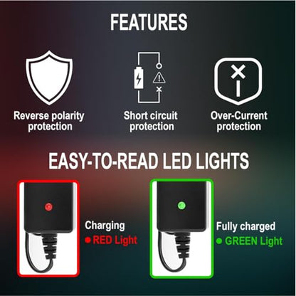 Prettyia 5 Groups of nimh Battery Chargers rc car Charger | Applicable2.4v 3.2v 4.8v 7.4v 8.4v 9.6v 10.8v 12v Fast charging Intelligent charger