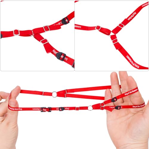 Y Strap for Spare Tire,1/10 Scale RC 3-Point Adjustable Spare Tire Tie Down Strap fit for Traxxas UDR TRX-4 Axial 90048 RR10 1.9" 2.2" Tire Roof Rack Accessories 3 Way Ratchet Strap Tie Down (Red) - color: Red
