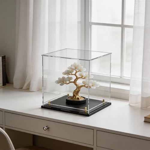 Acrylic Display Case with Raised Shelf, Clear Display Box with Black Base & Gold Standoffs, Dustproof Showcase for Collectibles, Figures, Model Cars – Easy Assembly (10×10×10 Inch) - size: 10"L x 10"W x 10"H