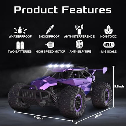1:16 Scale Purple Remote Control Car, 20 Km/h High Speed Girls Remote Control Car Monster Vehicle with LED Headlights and Chassis Lights, RC Truck for Girls Boys and Adults - color: Amethyst Viper