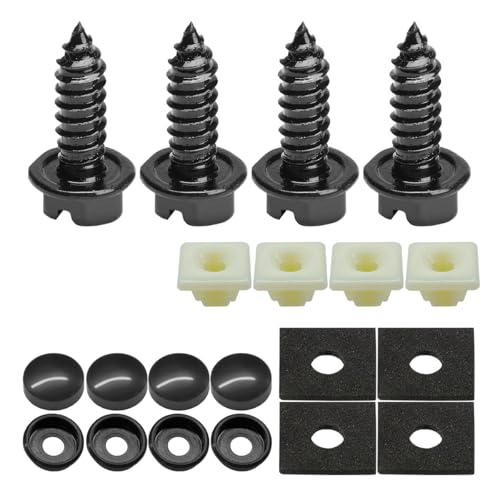 Rustproof Car License Plate Screw Kit, Stainless Steel Self Anti-Theft Anti-Rattle Tapping Mounting Bolts, Auto Fasteners for Securing License Plate Frames and Covers on Car Truck SUV (20PCS) - size: 20PCS