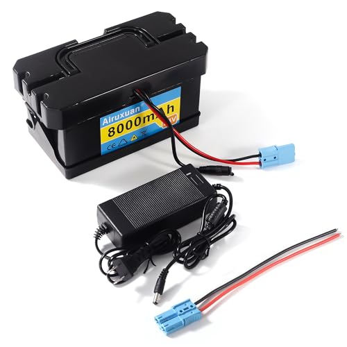 24V 8Ah Lithium Battery for Kids Ride-On Cars & Power Wheels, 25A BMS, 2A Charger,Compatible with Dynacraft Realtree 24V UTVs