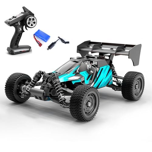 TOUCAN RC HOBBY 16202Pro 1/16 RWD Remote Control Off Road Vehicle 35A ESC Splash Proof 17G Servo Electric Muti-Terrain RC Model Car LED Light for Adult - color: Blue