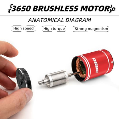 Metal 3650 Brushless Motor 3.175mm Shaft 2800KV Waterproof for 1/10 Scale RC Climb Slow Linear Off-Road Flat Running Road Racing Drifting TRX4 Slash Sledge SCX10 Arrma RC Car Boat (2800KV)
