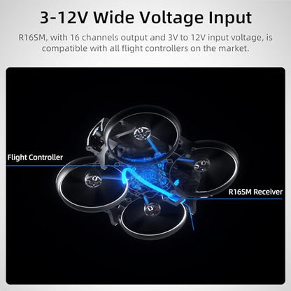 Radiolink R16SM 2.4G 16 Channels Mini Receiver SBUS/CRSF Long Range Control for FPV Micro Drone, Quadcopter, Compatible with RC Transmitter T16D/T12D/T8FB/T8S/RC8X/RC6GS V3/RC4GS V3