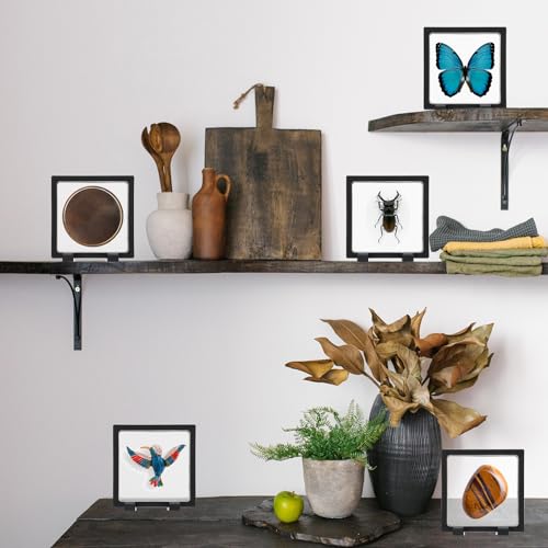 Harloon 12 Pcs 3D Floating Display Case Floating Frame Display Holder Stand Challenge Coin Jewelry Frame Box for AA Medallions Fossil Rock Gemstones Specimen(Black,4.3 x 4.3 x 0.8 Inch,Square Base) - color: Black, size: 4.3 x 4.3 x 0.8 Inch, style: Square