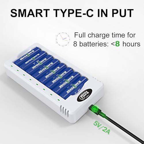 Blinkspower 8 Bay AA AAA Battery Charger, Smart Fast Charging with Independent Charging Slots for NiMH Rechargeable Batteries, USB Type-C, No Adapter