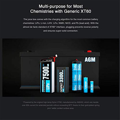 SKYRC T200 Dual Balance Charger AC100-240V/DC 11-18V Input 12A 100W for LiPo Li-Ion LiHV Life 1-6S / NiMH NiCd 1-15S Battery Pb 2-20V