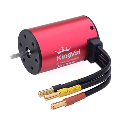 KingVal Replacement 3660 1950KV Waterproof Brushless Motor Shaft 3.175mm Compatible with 1/10 RC Car - size: 1950KV(ø3.175mm Shaft), style: 3660
