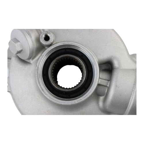 Complete Rear Differential 41300-HM5-A10 41300-HC4-000 41300-HC5-970 41300-HM5-850 Compatible With TRX300 Fourtrax 300 2X4 1996-2000