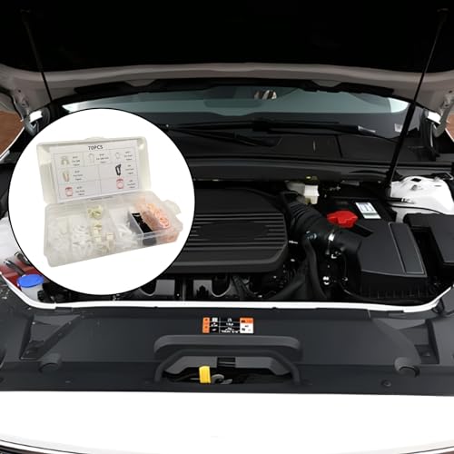 TOPCNOEM 70pcs Fuel Line Retainer Clip Assortment Kit, 5/16" & 3/8" Fuel Lines, 7 Popular Sizes, Compatible with Ford GM